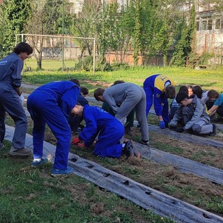 Studenti in campo per il “Coltiviamo Comunità”: nasce l’orto sociale a San Rocco Castagnaretta
