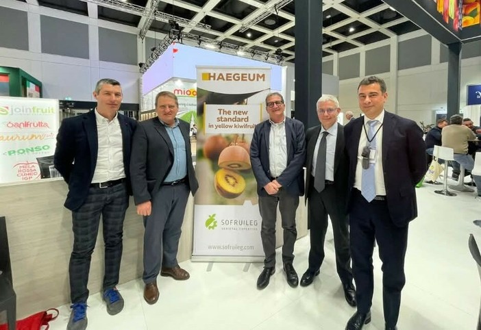 Frutticoltura piemontese, nuove opportunità per i produttori:  Orbita presenta il kiwi giallo Haegeum e le nuove pesche resistenti alla sharka