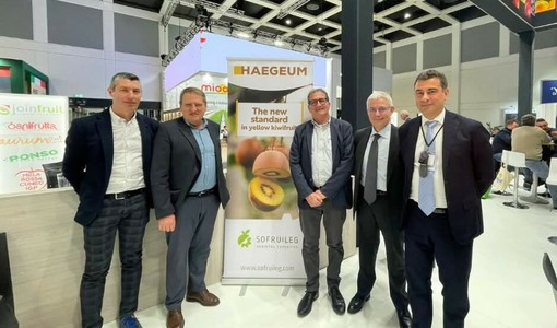 Frutticoltura piemontese, nuove opportunità per i produttori:  Orbita presenta il kiwi giallo Haegeum e le nuove pesche resistenti alla sharka
