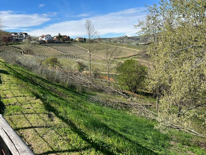 Castiglione Falletto premiata per la sostenibilità: riconoscimento ai Prati di San Lorenzo