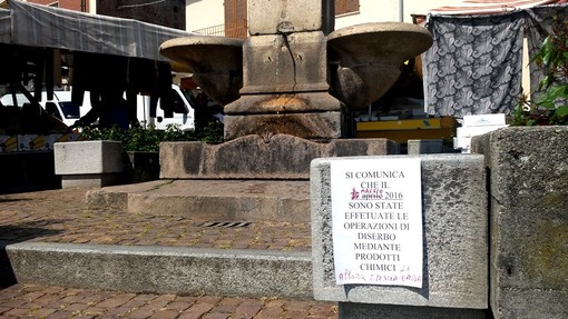 Cartelli contro il diserbo mediante prodotti chimici, sulla fontana in pieno centro a Paesana Cartelli contro il diserbo mediante prodotti chimici, sulla fontana in pieno centro a Paesana