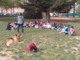 Cani Amichevoli a Scuola: le primarie di Saluzzo, Manta e Polonghera a scuola di Pet Therapy