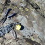 Una rete di sonde acquatiche monitora fiumi, torrenti e laghi intorno al Monviso Una rete di sonde acquatiche monitora fiumi, torrenti e laghi intorno al Monviso