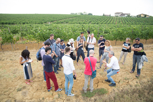 Progetto Vino di Collisioni: giornalisti, scrittori e opinion-leader alla scoperta dei vini del Monferrato