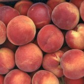 Pesche, prezzi in discesa e costi in aumento: "Serve un patto di filiera" Pesche, prezzi in discesa e costi in aumento: "Serve un patto di filiera"