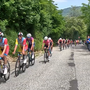 CICLISMO / “Gran Premio Ucat 1907”, la Valle Po pronta a incoronare i giovani