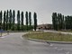Pioppi da abbattere nell'area industriale di Montà, Italia Nostra: &quot;Si proceda con cautela&quot;