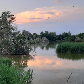 Agosto nel Parco fluviale di Cuneo: natura, stelle e attività per tutte le età