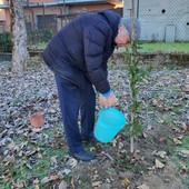 La piantumazione dell'albero, lo scorso sabato 28 novembre