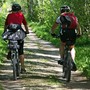Cuneo, via alla gara per la nuova pista ciclabile verso Cervasca: investimento da 2,6 milioni di euro Cuneo, via alla gara per la nuova pista ciclabile verso Cervasca: investimento da 2,6 milioni di euro