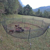 Peste Suina Africana, la provincia di Cuneo modello per la Regione nella gestione dell'emergenza Peste Suina Africana, la provincia di Cuneo modello per la Regione nella gestione dell'emergenza