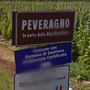 Peveragno riscopre sapori e tradizioni con “Mangiâ e beve ën coumpanhia” Peveragno riscopre sapori e tradizioni con “Mangiâ e beve ën coumpanhia”