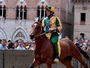Mattia Chiavassa a Siena con i colori della contrada del Bruco Mattia Chiavassa a Siena con i colori della contrada del Bruco