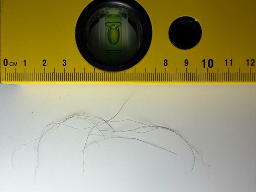 Analisi genetiche sui campioni biologici di pelo, tra quelle compiute dall'Istituto Zooprofilattico Sperimentale del Piemonte, Liguria e Valle d'Aosta Analisi genetiche sui campioni biologici di pelo, tra quelle compiute dall'Istituto Zooprofilattico Sperimentale del Piemonte, Liguria e Valle d'Aosta