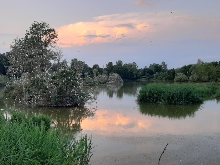 Agosto nel Parco fluviale di Cuneo: natura, stelle e attività per tutte le età