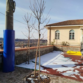 Bastia Mondovì dedicherà la piazza delle scuole a Massimo Bertolino