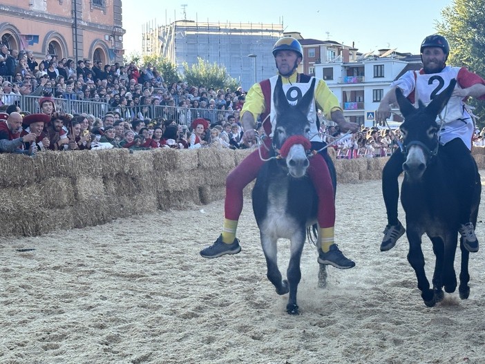 Alba: divieti di transito e di sosta per il Palio degli Asini da giovedì 1 ottobre Alba: divieti di transito e di sosta per il Palio degli Asini da giovedì 1 ottobre