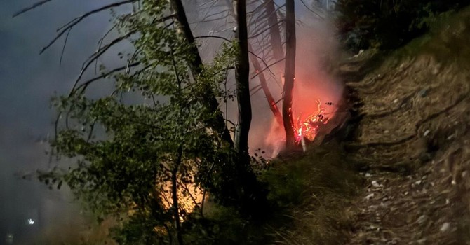 Emergenza incendi boschivi e siccità: la Regione estende all'intero Piemonte lo stato di emergenza regionale Emergenza incendi boschivi e siccità: la Regione estende all'intero Piemonte lo stato di emergenza regionale