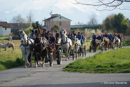 Paradriving, in carrozza da Cuneo a Torino: torna la staffetta dell'inclusione con cavalli e comunità