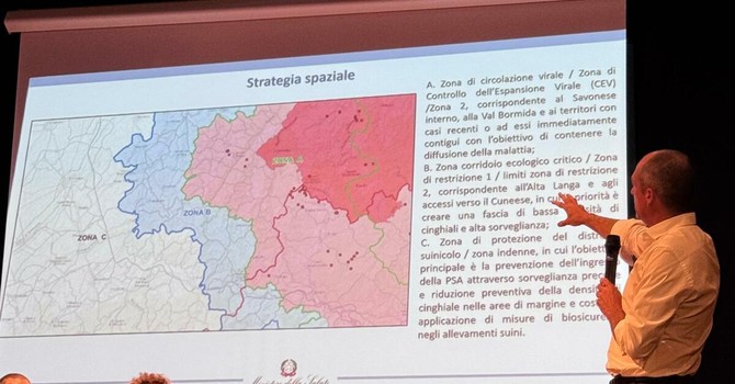 Peste Suina Africana, aggiornate le zone di restrizione nel Cuneese: la mappa dei Comuni coinvolti Peste Suina Africana, aggiornate le zone di restrizione nel Cuneese: la mappa dei Comuni coinvolti