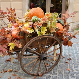 Immagine di repertorio