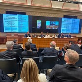 Lavoro e inclusione, il "modello Cuneo" arriva in Senato Lavoro e inclusione, il "modello Cuneo" arriva in Senato