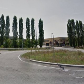 Pioppi da abbattere nell'area industriale di Montà, Italia Nostra: &quot;Si proceda con cautela&quot;