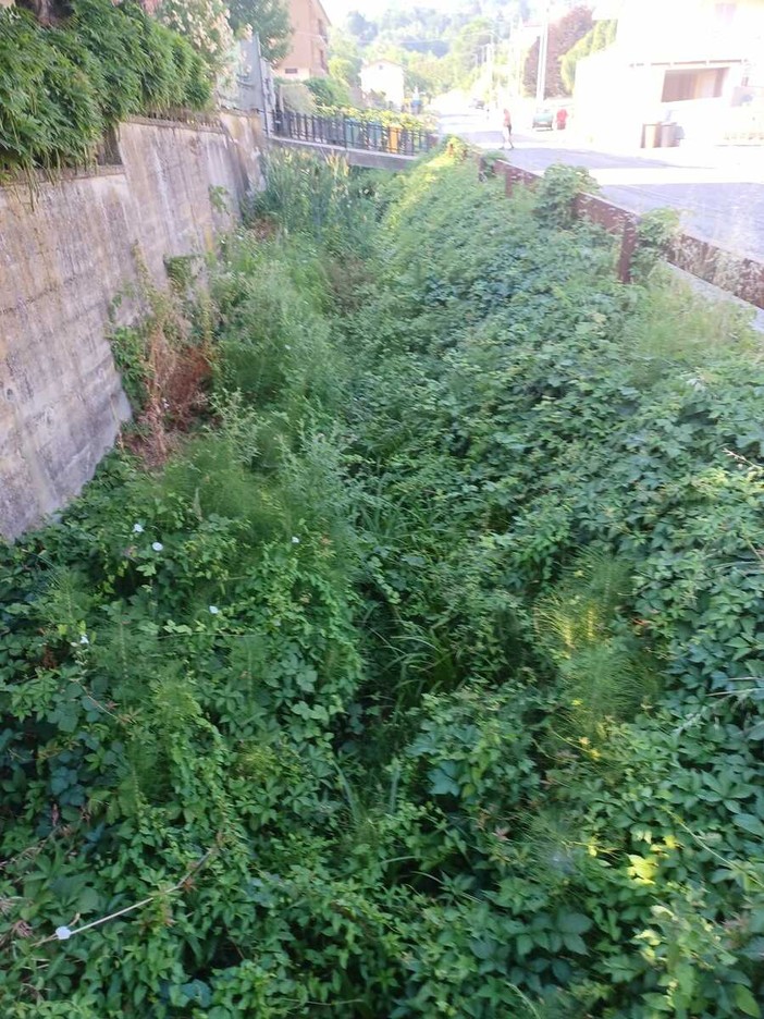 La situazione dello scolmatore del Rio Misureto