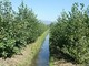 Gestione dell'acqua, Confagricoltura Piemonte rilancia le aree di infiltrazione Gestione dell'acqua, Confagricoltura Piemonte rilancia le aree di infiltrazione