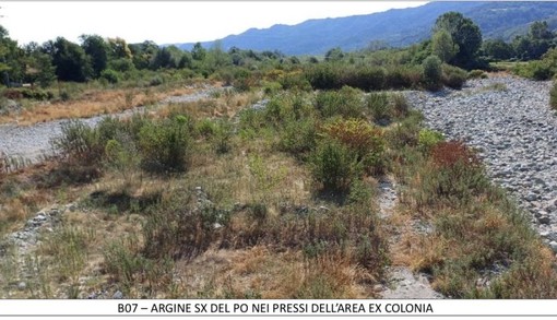 Revello argine sinistro del Po nei pressi area ex colonia