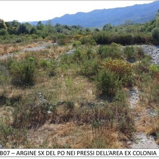 Revello argine sinistro del Po nei pressi area ex colonia