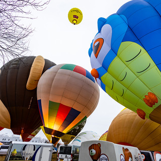 Tornano le mongolfiere:  un cielo pieno di meraviglie a Mondovì