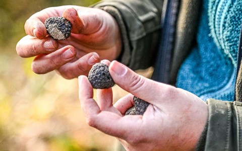 (ph Danilo Ninotto - Archivio Atl del Cuneese)