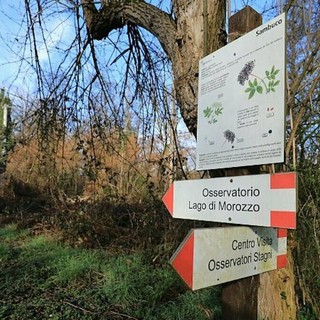 La Riserva Crava Morozzo riprende le attività con “Disconnettersi per riconnettersi”