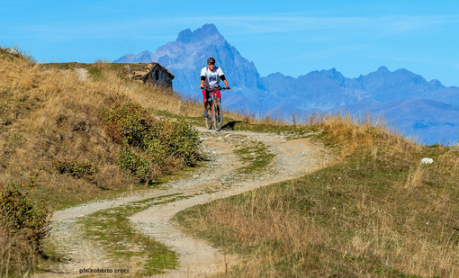 Roe Marenche Roe Marenche