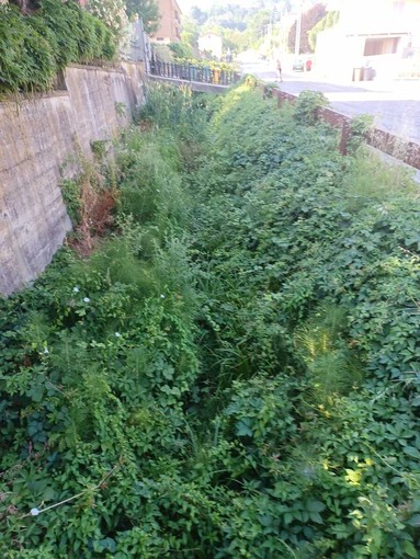 La situazione dello scolmatore del Rio Misureto La situazione dello scolmatore del Rio Misureto
