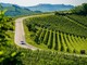 MOTORI / Le colline UNESCO abbracciano il Rally Regione Piemonte MOTORI / Le colline UNESCO abbracciano il Rally Regione Piemonte