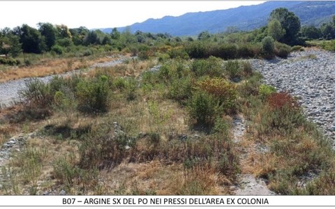 Revello argine sinistro del Po nei pressi area ex colonia