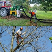 Difesa e innovazione del castagno: tornano le prove in campo di Confagricoltura a Caraglio