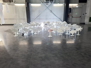 Ieri a Dogliani la cerimonia di restituzione del progetto