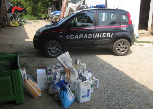 Sul caso indagano i Carabinieri Forestali (immagine d'archivio)