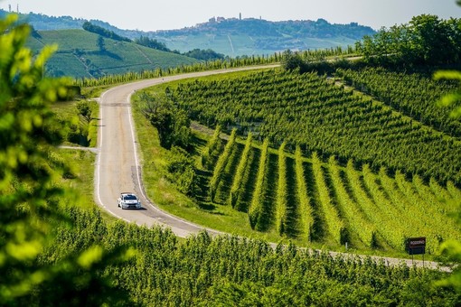 MOTORI / Le colline UNESCO abbracciano il Rally Regione Piemonte MOTORI / Le colline UNESCO abbracciano il Rally Regione Piemonte