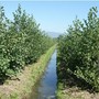 Gestione dell'acqua, Confagricoltura Piemonte rilancia le aree di infiltrazione Gestione dell'acqua, Confagricoltura Piemonte rilancia le aree di infiltrazione