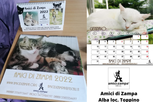 I calendari &quot;Amici di Zampa 2022&quot; vi stanno aspettando