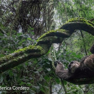 A Dogliani la mostra fotografica  “Il Respiro della Terra” di Federica Cordero