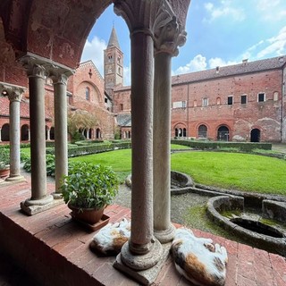 I gatti dell'Abbazia di Staffarda