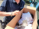 Quattro gattini appena nati abbandonati tra i capannoni dell'area industriale a Borgo San Dalmazzo Quattro gattini appena nati abbandonati tra i capannoni dell'area industriale a Borgo San Dalmazzo