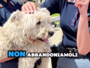 Periodo di partenze: lo spot della Polizia di Stato contro l'abbandono degli animali