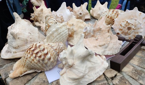 Sabato Santo tra caccia alle uova, suono delle conchiglie, concerti e riti antichi Sabato Santo tra caccia alle uova, suono delle conchiglie, concerti e riti antichi