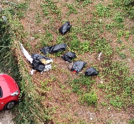 I sacchi della spazzatura abbandonati di fronte a Villa Invernizzi I sacchi della spazzatura abbandonati di fronte a Villa Invernizzi